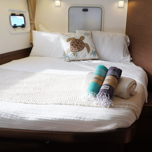 Forward Stateroom - CruiseNautic - Lagoon 42