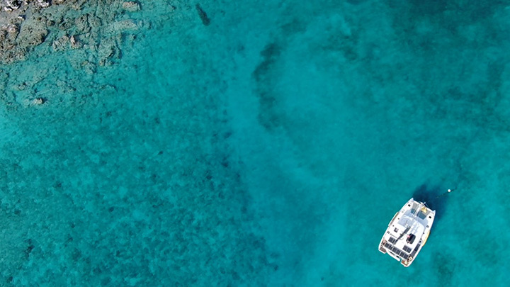 Paradise Lockdown CruiseNautic