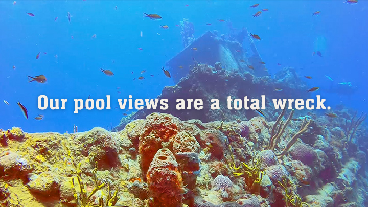 Mission St Croix. Turtles n' Tugboats.