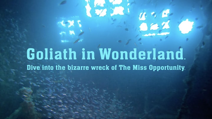 Goliath in Wonderland. Dive into the bizarre wreck of The Miss Opportunity.